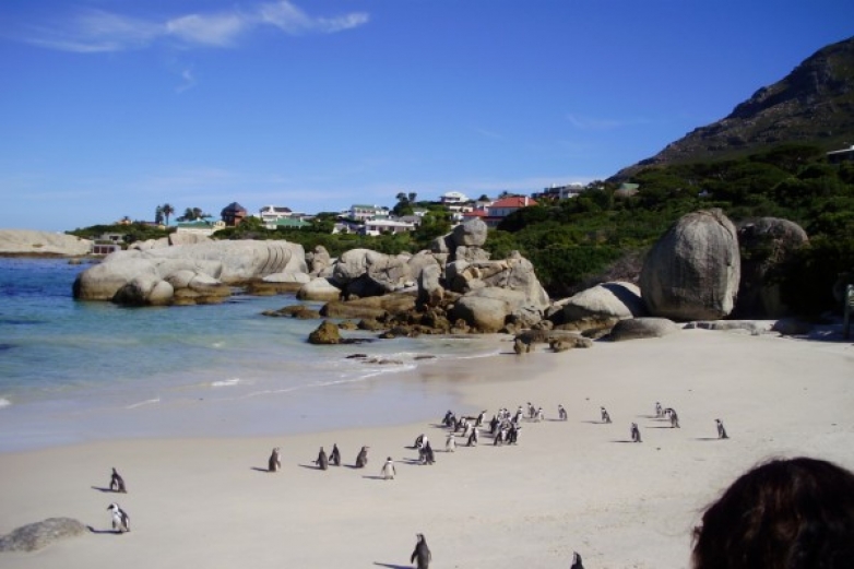 Гей туризм или как провести время в Кейптауне, ЮАР 2020